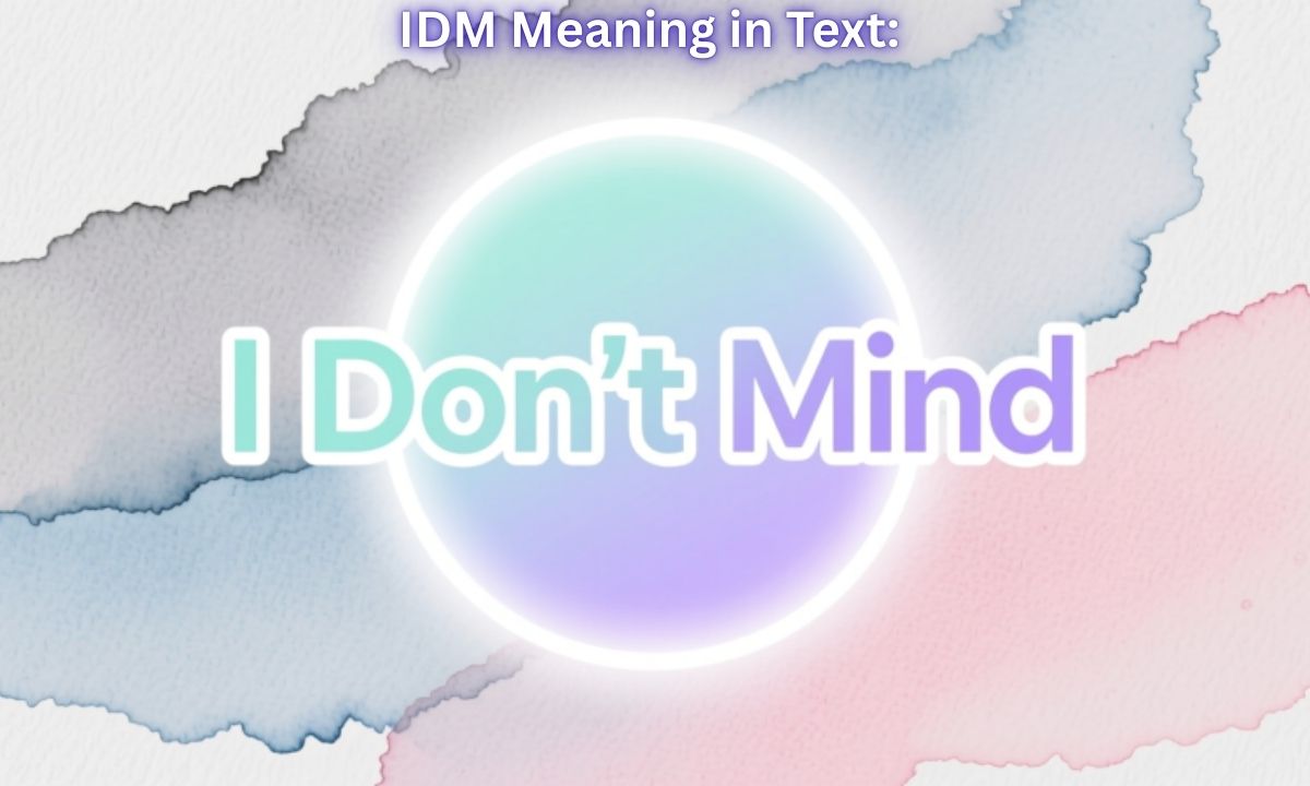 IDM Meaning in Text