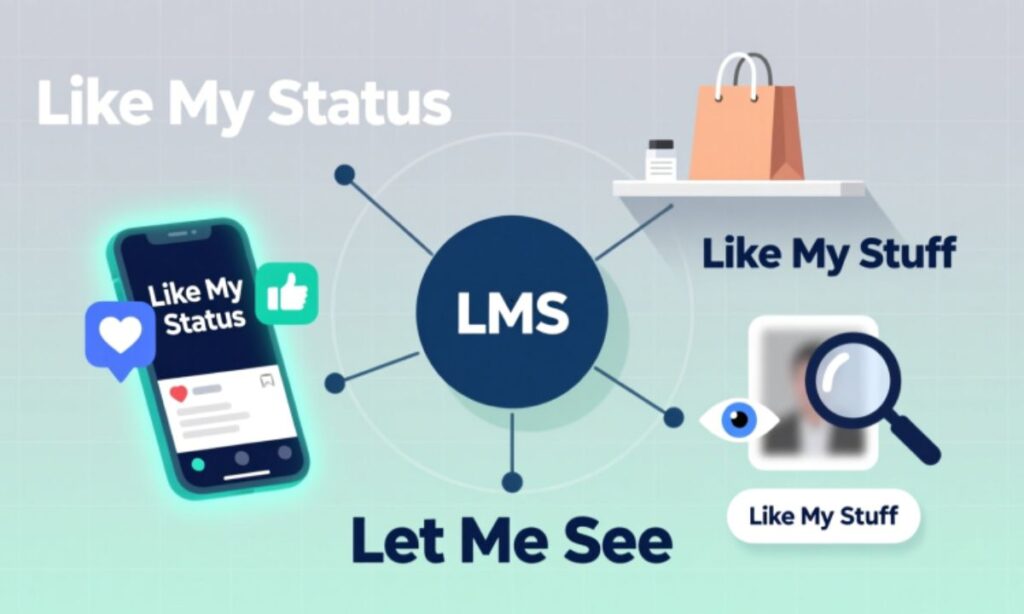 LMS Meaning in Text Usage in Different Contexts