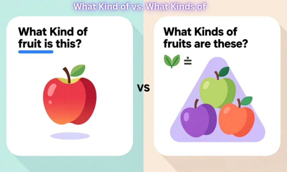 What Kind of vs. What Kinds of