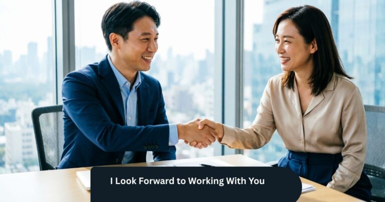 I Look Forward to Working With You